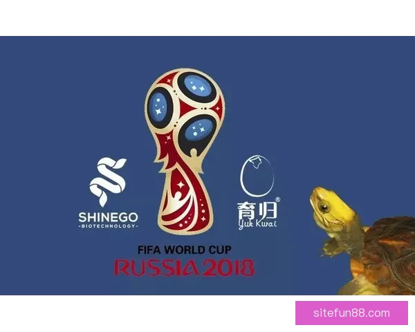 世界杯精彩赛事尽在掌握，立即下载官方竞猜APP体验